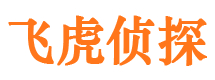 三山市私家侦探